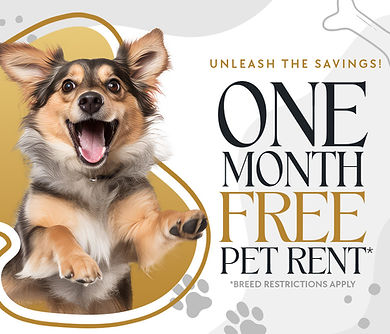 Sterling Park - Dog Friendly Special - With Offer.jpg