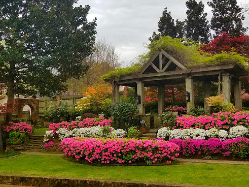 Azalea Trails