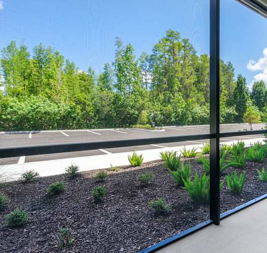 A view of a garden through a sliding glass door.
