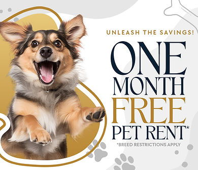 Richmond Club - Dog Friendly Special - With Offer.jpg