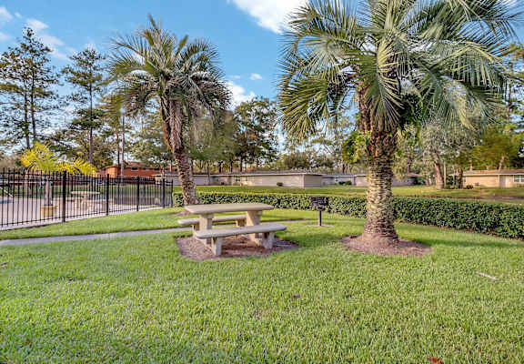 a picnic table in a park with two palm trees