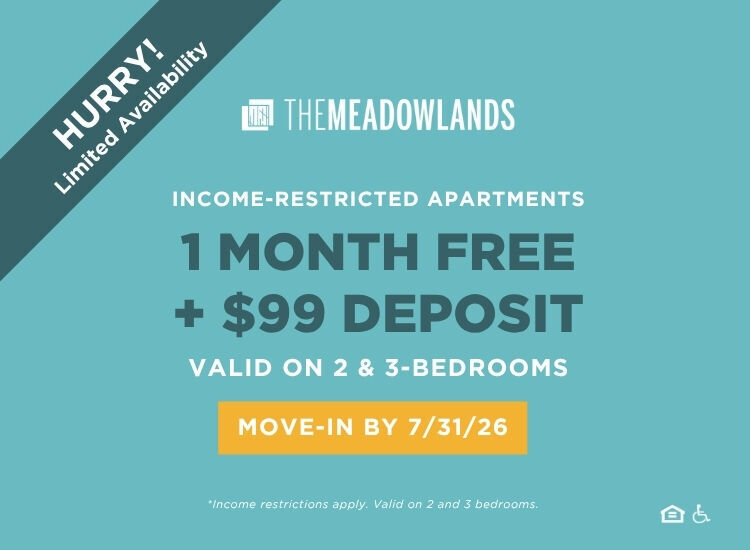 The Meadowlands