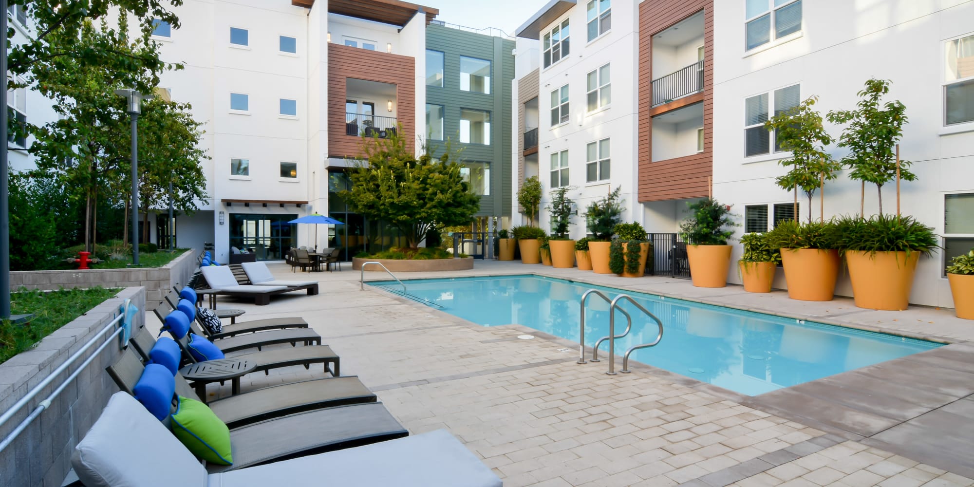 Swimming pool at Mountain View, California, at Domus on the Boulevard