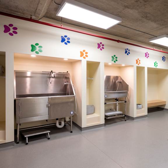 A room with a lot of stainless steel appliances and a wall with dog paw prints on it.