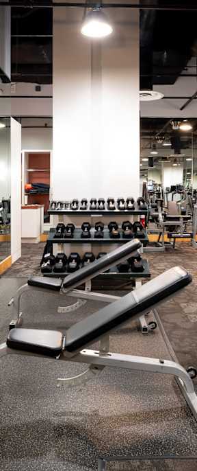 a row of weights machines in a gym