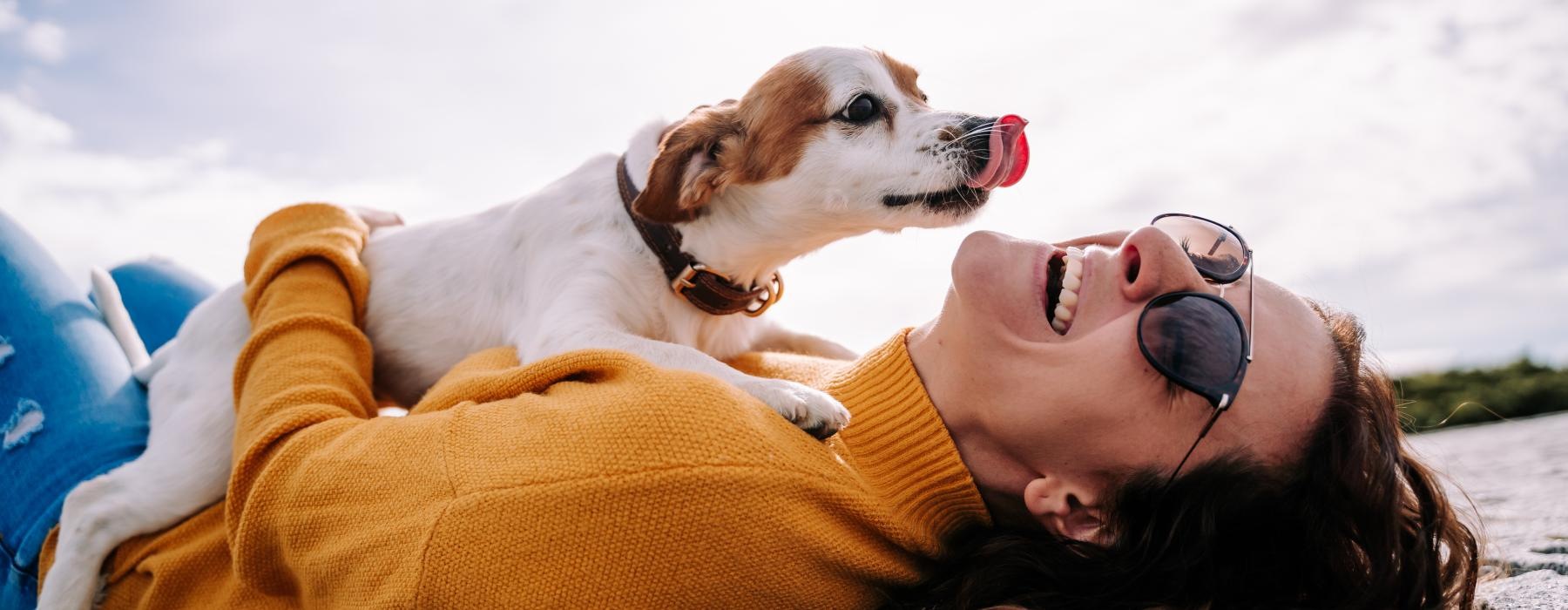 a person lying on a beach with a dog on the back