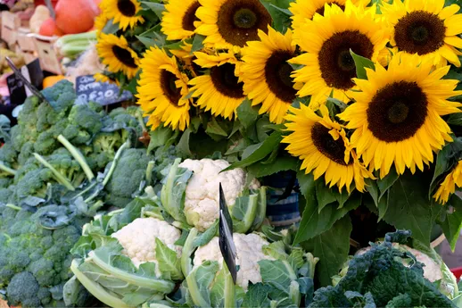 Bouquet of sunflowers