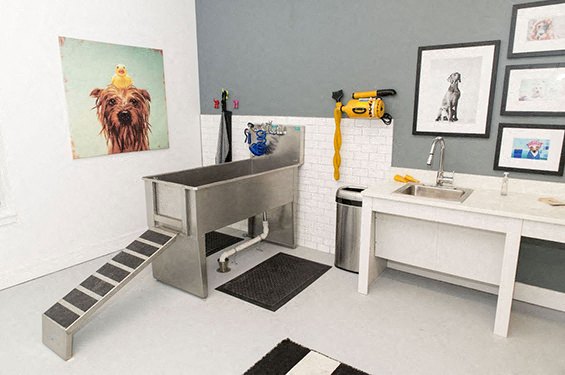 Pet wash station