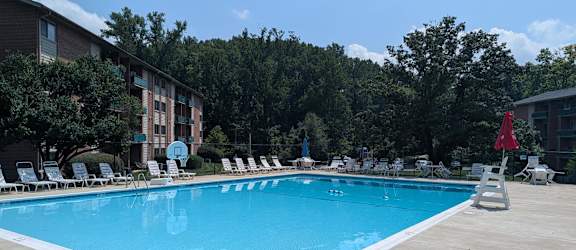 A large swimming pool surrounded by lounge chairs and trees.