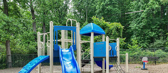 A blue slide in a playground surrounded by trees.