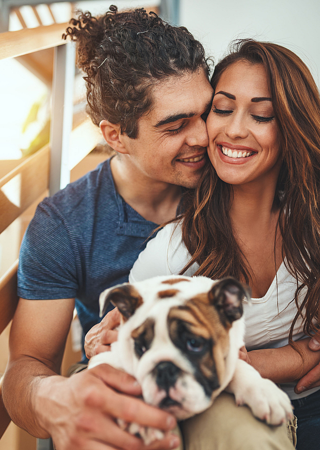 Cozy apartment scene with a smiling couple cuddling their adorable bulldog on a sunlit staircase.