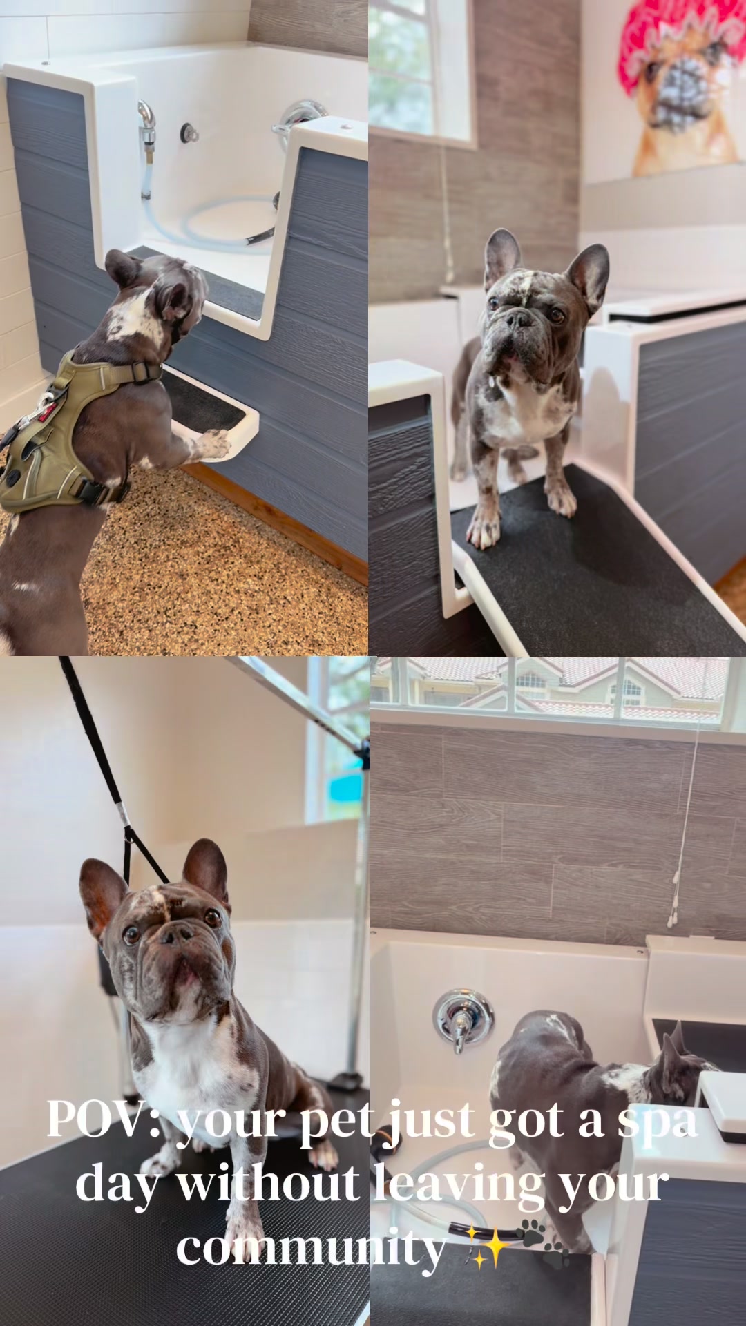 POV: your pet just got a spa day without leaving your community ✨🐾 Enjoy the convenience of our...