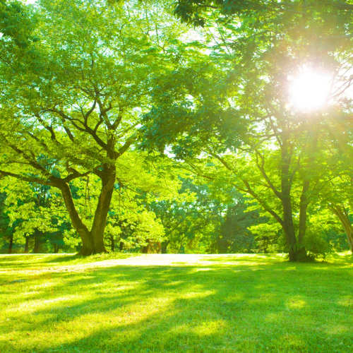 Park near Penn Square II in Baltimore, Maryland