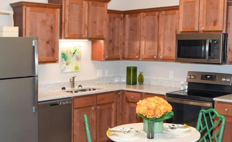 Modern kitchen at Lakeview Retirement Community, featuring stainless steel appliances and granite countertops. 55 Plus Living.