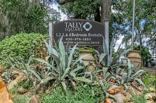A sign for Tallyo Square Bed and Breakfast is surrounded by plants.