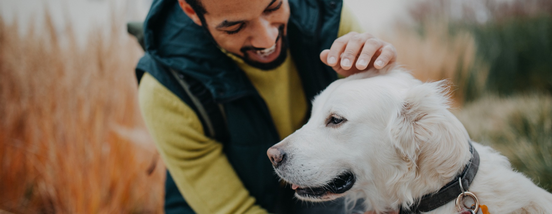 Man petting his dog