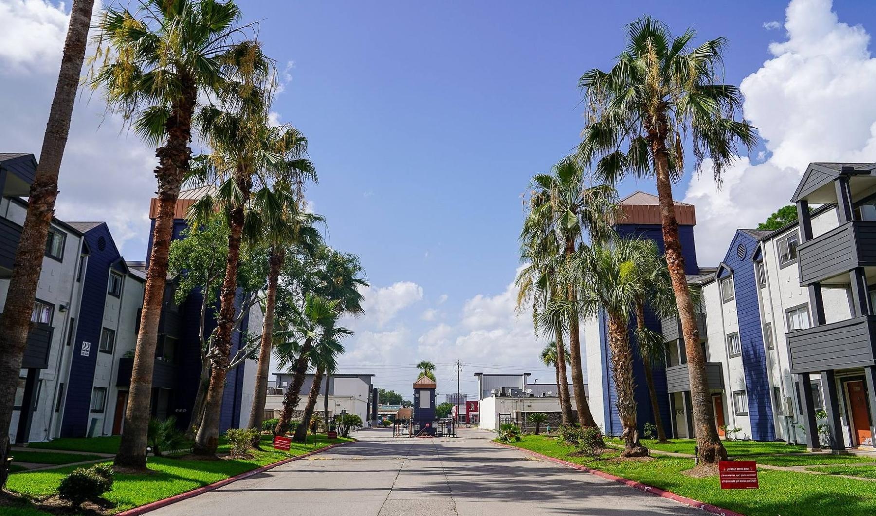 a street with palm trees and buildings