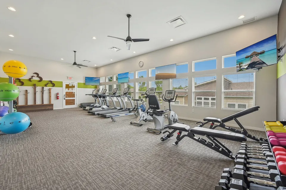Luxurious fitness center with state-of-the-art equipment, vibrant exercise balls, and modern decor, featuring large windows for natural light.