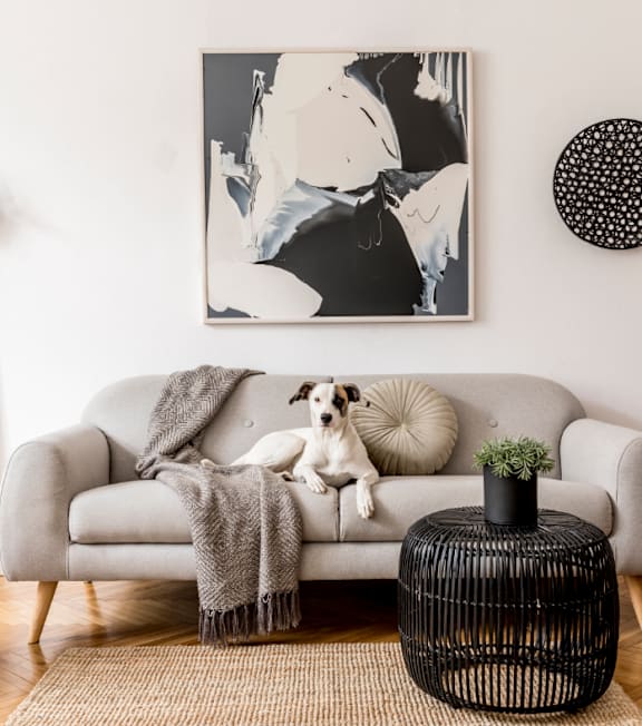 A dog sits on a grey couch with a grey blanket and a black and white abstract painting on the wall.