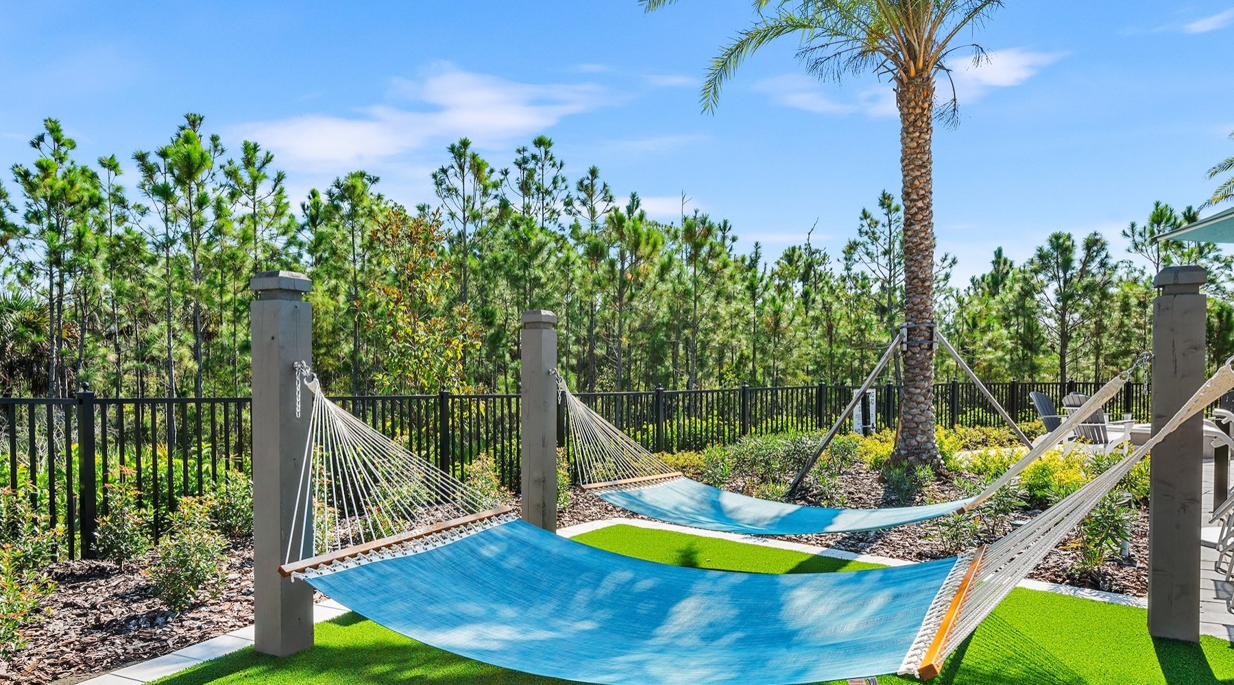 hammocks near a fence and palm tree
