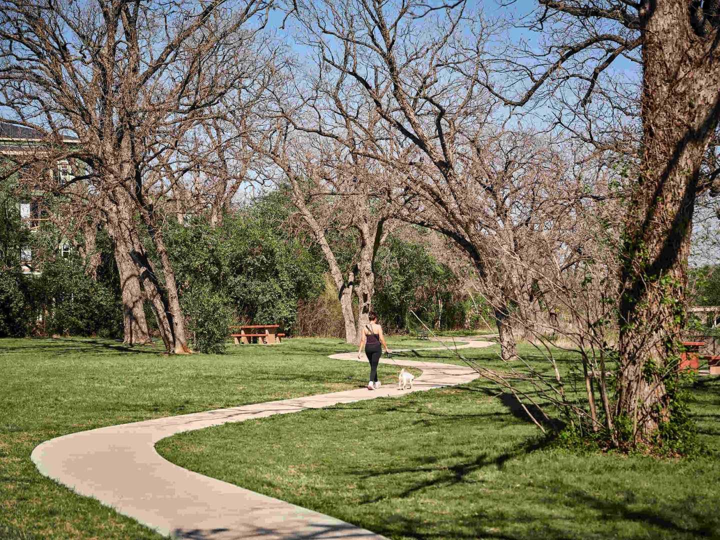 A scenic view of the Southern Walnut Creek Trail near Otto on the Trail apartments in East Austin, featuring lush trees and a paved path for biking and walking.
