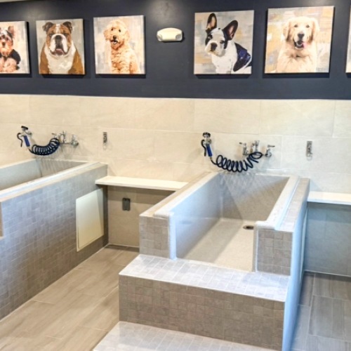 Dog Spa