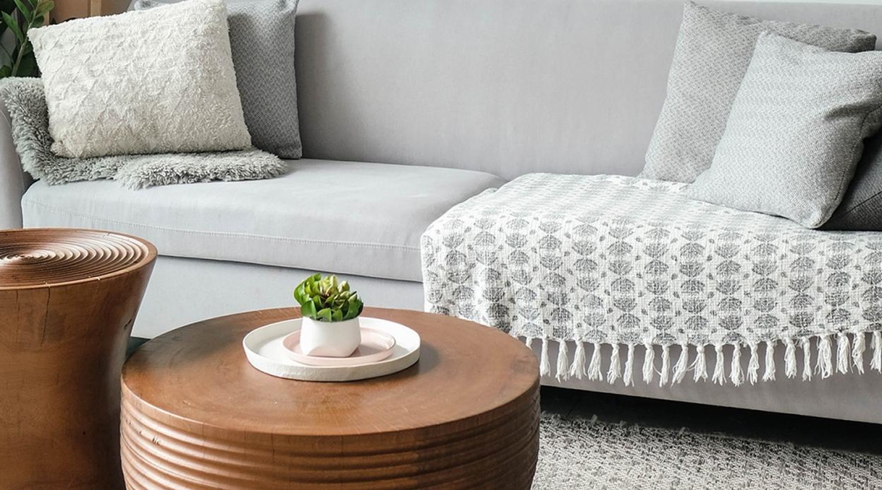 a couch with a table and potted plants