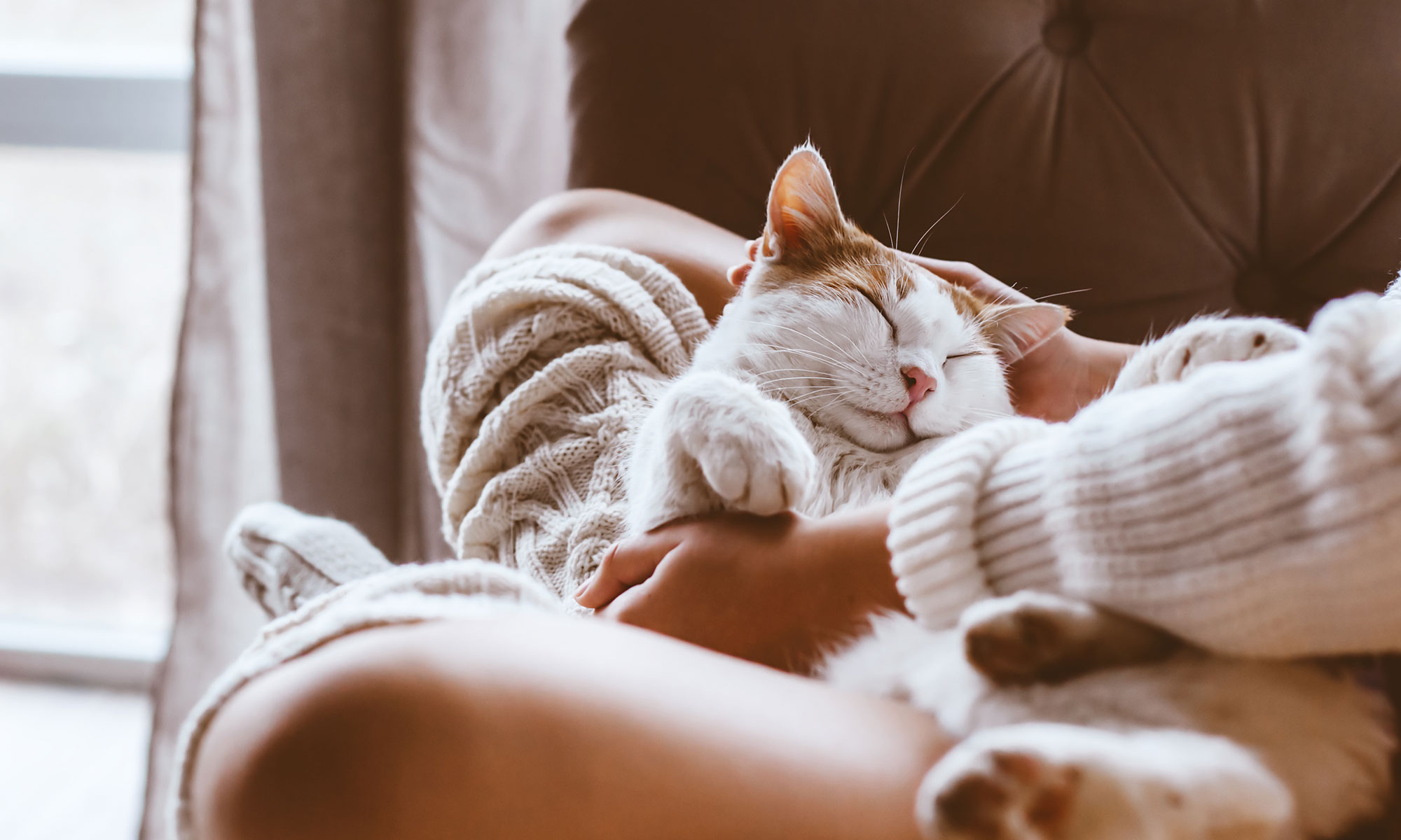 Woman with pet cat relaxing on a couch