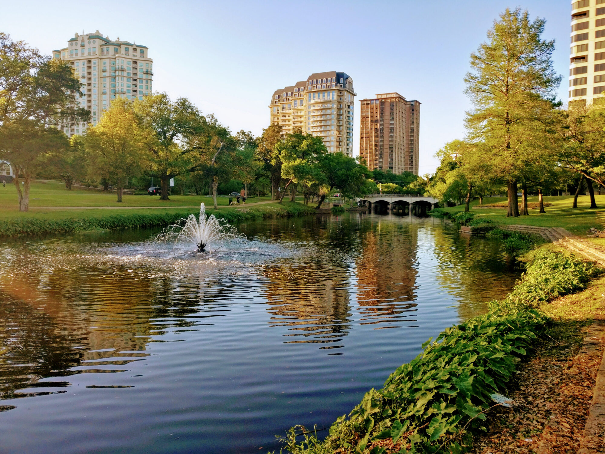 Park by a river with trees and fountain