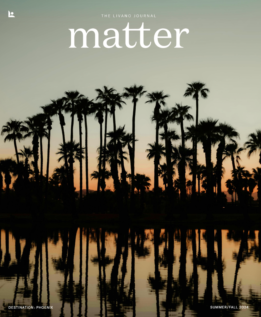 Silhouetted palm trees reflect in water at sunset; 