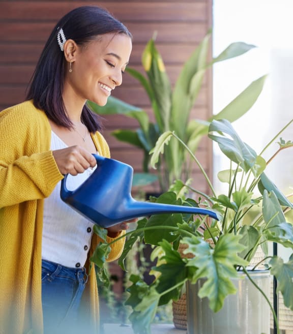 Watering The Plant at Red 20 Apartments, Minneapolis