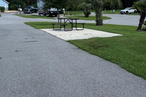 Site photo
