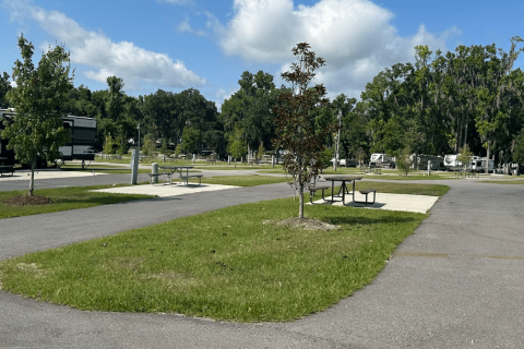 Site photo