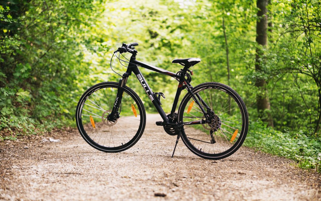 bike on trail