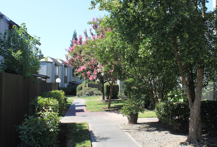 Village Green photo