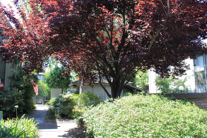 Village Green