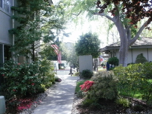 Village Green photo