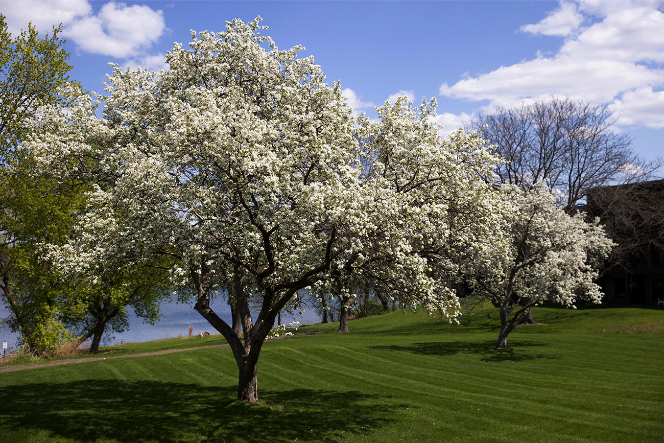 Scenic, well-kept grounds