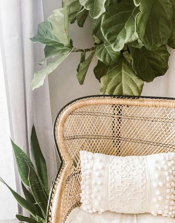 A wicker chair with a white pillow and a plant beside it.