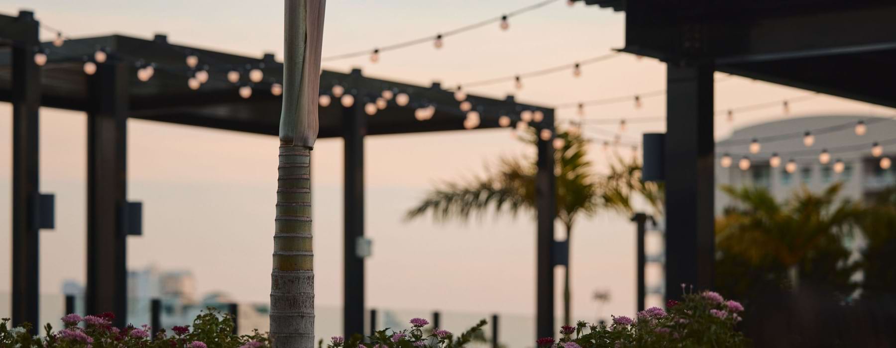 Detail Shot of Rooftop Terrace at Sunset 