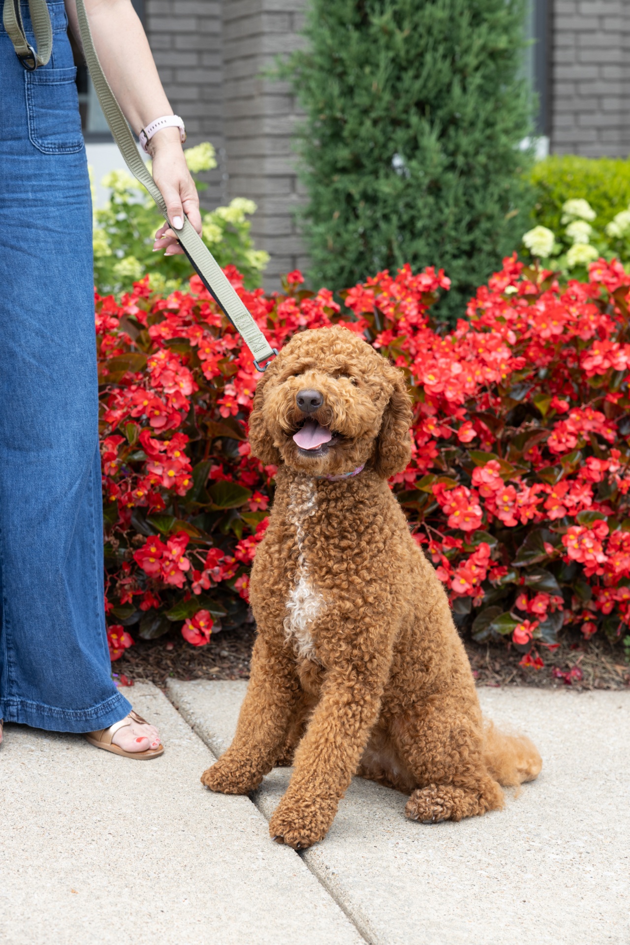 Sunny weather means more walks around property for our fur babies! 🐶☀️