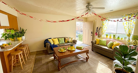 Dixie South Student Housing photo