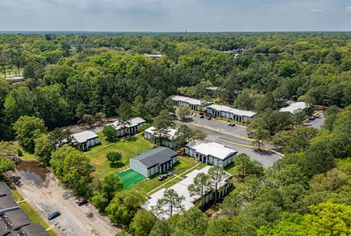 A bird's eye view of a residential area surrounded by trees.