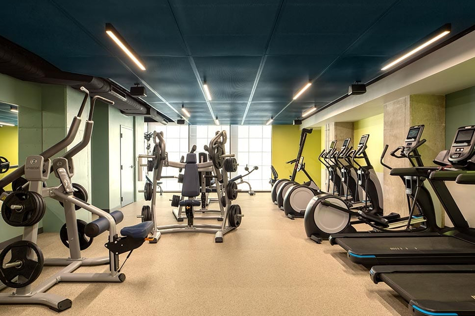 gym
