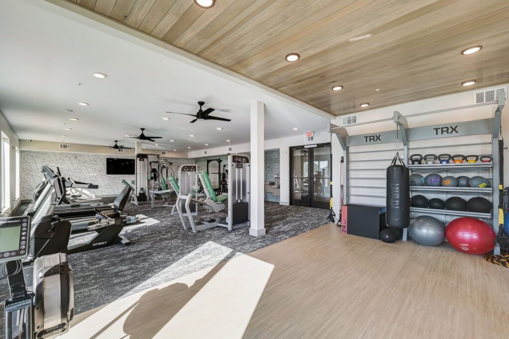 Modern gym interior with treadmills, exercise machines, TRX equipment, and a variety of fitness balls.