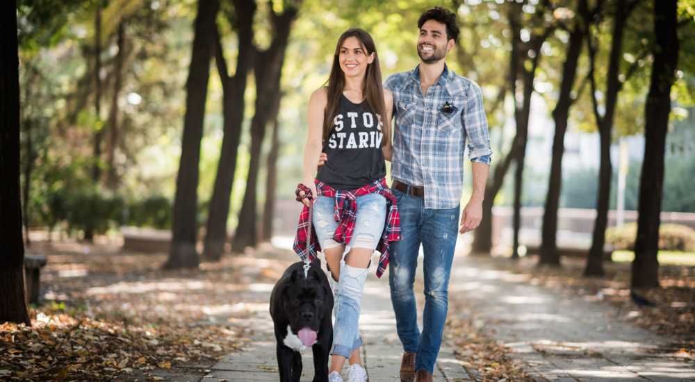 Couple walking through the park with their dog at Sealofts At Boynton Village in Boynton Beach, Florida
