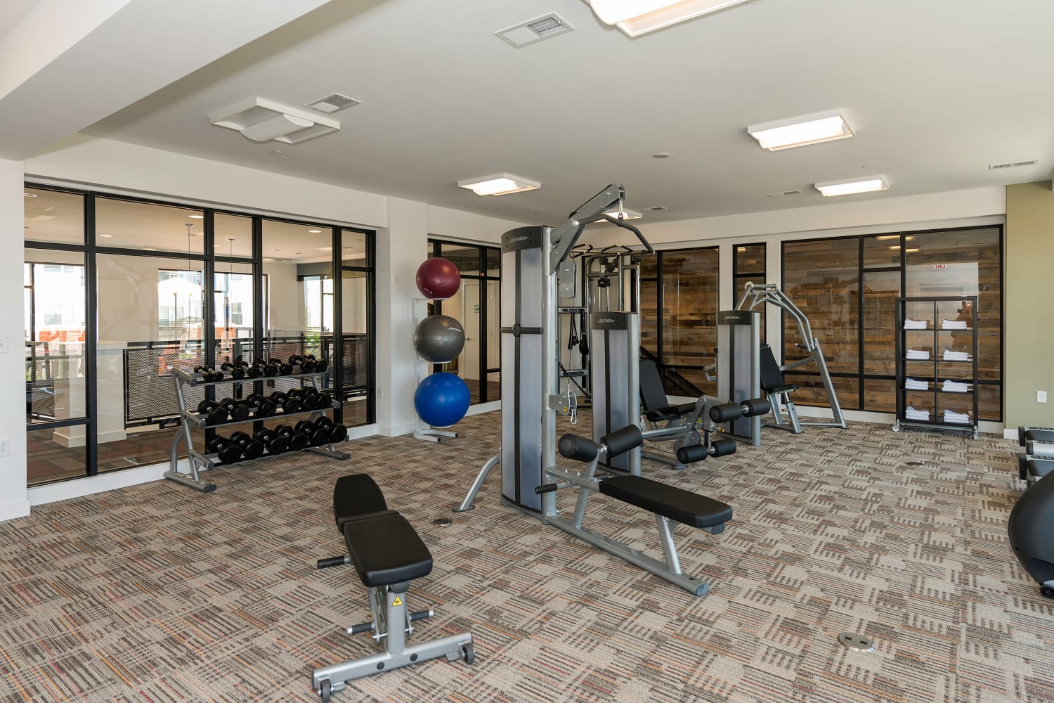 Fitness equipment at Element at Ghent in Norfolk, Virginia