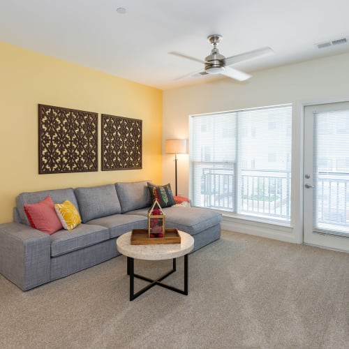 Carpeted living room with ceiling fan at Element at Ghent in Norfolk, Virginia