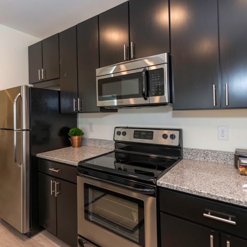 Kitchen with stainless-steel appliances at Element at Ghent in Norfolk, Virginia