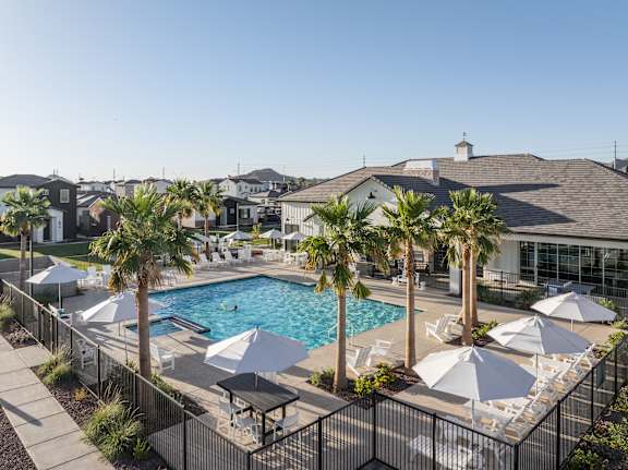A pool surrounded by palm trees and umbrellas.